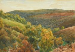 W. W. Collins 919th Century, 'Butterfly Combe', a view looking over roof tops in the valley