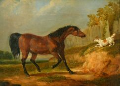 19th Century English School, a pair of oil on canvas paintings of dogs and horses, each 6.75