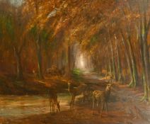 1900/1920, Deer in a dark woodland glade by a pool of water, oil on board, indistinctly signed,
