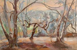 Phyllis Bray (1911-1991) British, A woodland scene in Winter, oil on canvas, initialed, 20