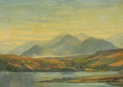 T.E. Spence (20th Century) An extensive landscape view from a lake in Ireland, oil on board,