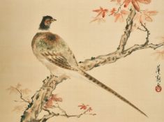 Chinese School, Study of a Pheasant, watercolour on silk, signed and with seal, 13.75