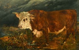 19th Century School, a bull in a landscape beneath darkening skies, oil on panel, 10.25