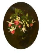 James Stuart Park (1862-1933), a still life study of fuchsias, oil on canvas, signed, 13.5