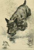 Morgan Dennis, 'Scram', a Scottish terrier by the edge of a pond with a frog, etching, inscribed and