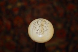 A Victorian blackthorn walking stick.