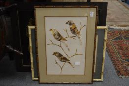 A bird's feather picture depicting birds together with Chinese embroidered pictures and another