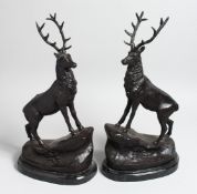 AFTER MOIGNER, A PAIR OF BRONZE STAGS on marble bases. 17ins high.