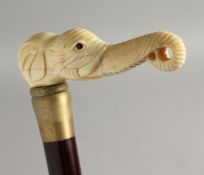 A WALKING STICK with carved bone handle 'Nude'. 34ins long.