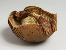 AN ARMODILO SPECIMEN as a basket. 8ins.
