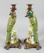 A PAIR OF LARGE PORCELAIN AND ORMOLU CANDLESTICKS modelled as parrots on a branch. 14ins high.