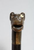 A WALKING CANE WITH CARVED RHINO, BULLDOG HANDLE (an eye and some teeth missing).