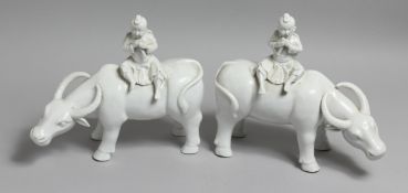 A PAIR OF CHINESE BLANC DE CHINE FIGURES OF BOYS SEATED ON WATER BUFFALO. 11ins long.