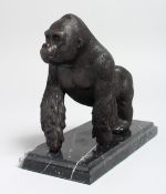 A BRONZE MODEL OF A GORILLA on all fours, on a marble base. 8ins long.