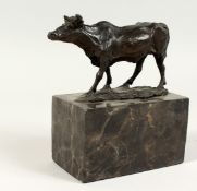 A SMALL BRONZE BULL on a marble plinth. Signed, 5ins high.