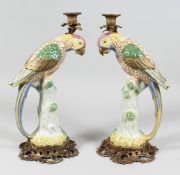 A PAIR OF LARGE PORCELAIN AND ORMOLU CANDLESTICKS modelled as parrots on a branch. 16.5ins high.