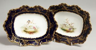 A ROYAL CROWN DERBY FINE PAIR OF SHAPED DISHES painted with birds in a landscape by Chas. Harris.