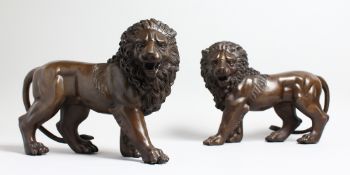 A PAIR OF BRONZE STANDING LIONS 12.5ins high.