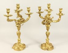 A GOOD PAIR OF ROCOCO ORMOLU FOUR LIGHT CANDELABRA, with four naturalistic scrolling branches on a