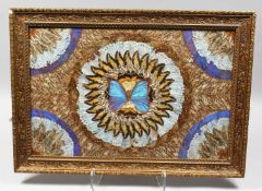 A FRAMED AND GLAZED BUTTERFLY WING PICTURE. 23ins x 15ins.