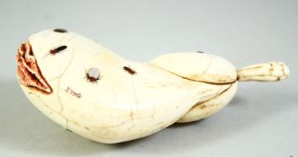 A JAPANESE WALRUS IVORY EROTIC CARVING, onlaid with shibayama insects, signed, 11cm long. Prov.