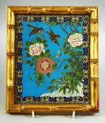 A GOOD CHINESE BLUE GROUND CLOISONNE PLAQUE, decorated with birds and native flora, encased in a