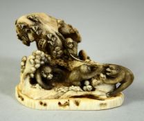 A SMALL JAPANESE CARVED IVORY OKIMONO, depicting monkeys upon a mound with a snake, 6.5cm wide.