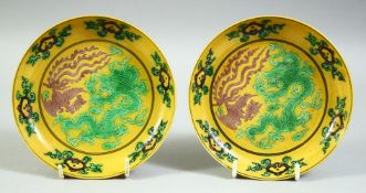 A PAIR OF CHINESE YELLOW GROUND SANCAI DISHES, the centre with dragon and phoenix, with six