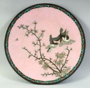 A JAPANESE CLOISONNE PINK GROUND CIRCULAR DISH, decorated with birds and a tree branch, 30cm