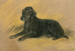 Lucy Dawson (20th Century) A portrait of 'Roy', a black lab, pastel, signed, inscribed and dated