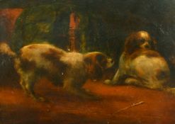 19th Century English School, two King Charles Spaniels in an interior, oil on board, 11