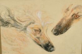 Neil Forster, Studies of an Afghan hound, pastel and gouache, signed and inscribed, 'Hector 72', 10