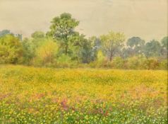 Circle of George Marks, A tree lined wildflower meadow, watercolour, 9.5