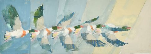 Dexter Brown (b. 1942) British, 'Shelduck Flight Study', mixed media on canvas laid down, signed and
