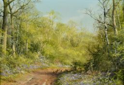 Caesar (20th Century), a scene if bluebells on a woodland path, oil on board, 5