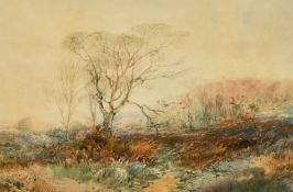 Edmund Morison Wimperis (1835-1900) British, Trees in a landscape, watercolour, monogrammed, 10.