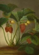 S.R. Francis (19th Century) A strawberry plant, pastel, signed, 10.75