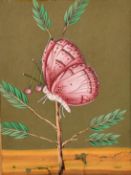 A small collection of Indian mica paintings, watercolours (as found) (unframed) (4).