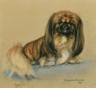 Marjorie Cox (1915-2003) British, 'Munch-Munch', a study of Pekingese dog, pastel, signed and