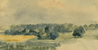 Timothy Gibbs (1923-2012) British, A wooded landscape, watercolour, initialled in pencil, 4.75