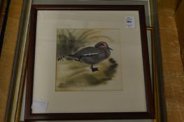 Four watercolours depicting various birds.