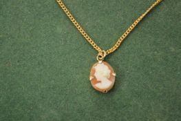 A gold cameo and chain.