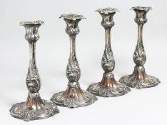 A SET OF FOUR ROCOCCO PLATE CANDLESTICKS. 9.5ins high.