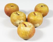 FIVE VARIOUS APPLES.