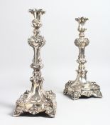 A PAIR OF CONTINENTAL SILVER ROCCOCO STYLE CANDLESTICKS with grape and vine decoration. 12ins high.