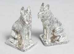 A PAIR OF .800 WHITE METAL GERMAN SHEPHERD DOG SALTS AND PEPPERS.