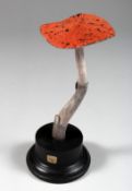 A MUSHROOM SPECIMEN, 6ins high, on a circular base.