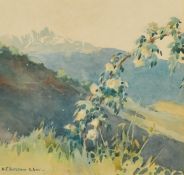 N.J. Burton (20/21st Century) 'Wild roses and a snowy mountain' watercolour, signed, inscription