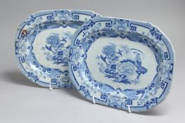 A PAIR OF IRONSTONE BLUE AND WHITE DISHES.