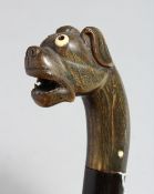 A WALKING CANE WITH CARVED RHINO, BULLDOG HANDLE (an eye and some teeth missing).